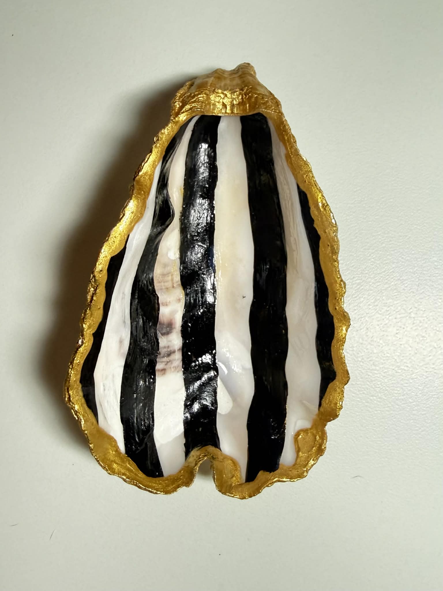 Oyster Jewelry Holder RTS